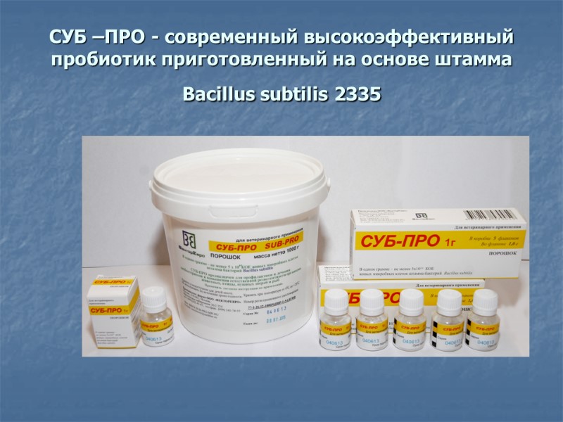 СУБ –ПРО - современный высокоэффективный пробиотик приготовленный на основе штамма Bacillus subtilis 2335